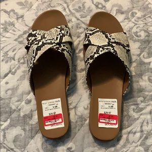 Black and white snake slides